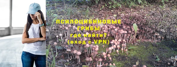 спайс Алексеевка