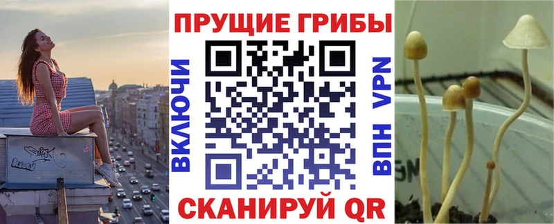 shop формула  Жуковка  Псилоцибиновые грибы MAGIC MUSHROOMS 